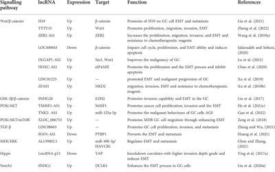 Frontiers | Epithelial-mesenchymal transition-related long 